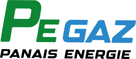 logo panais energie